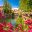 Ljubljana green riverfront promenade walkway summer view through roses